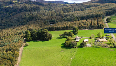 Picture of 302 Nettlefolds Road, HOLWELL TAS 7275