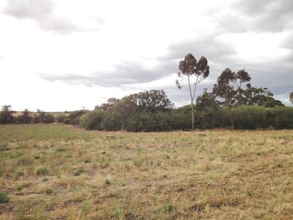 Lot 517 Lindsay Park Road, MOCULTA SA 5353, Image 2