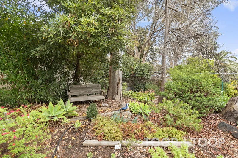 Additional image 16 of 4 Drysdale Avenue, Tea Tree Gully SA 5091