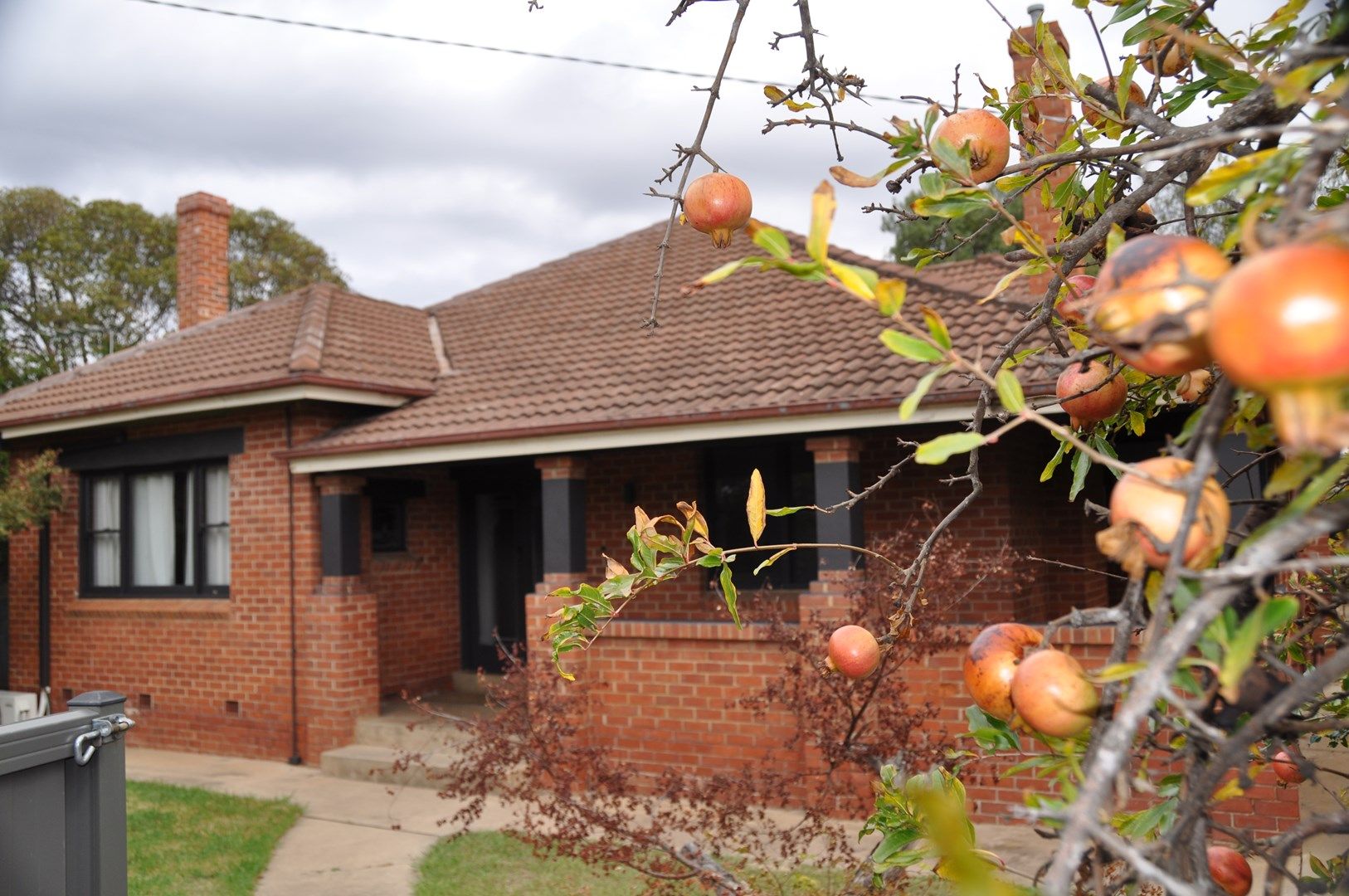 5 Fortune Street, Rutherglen VIC 3685 House For Rent 1,200 Domain