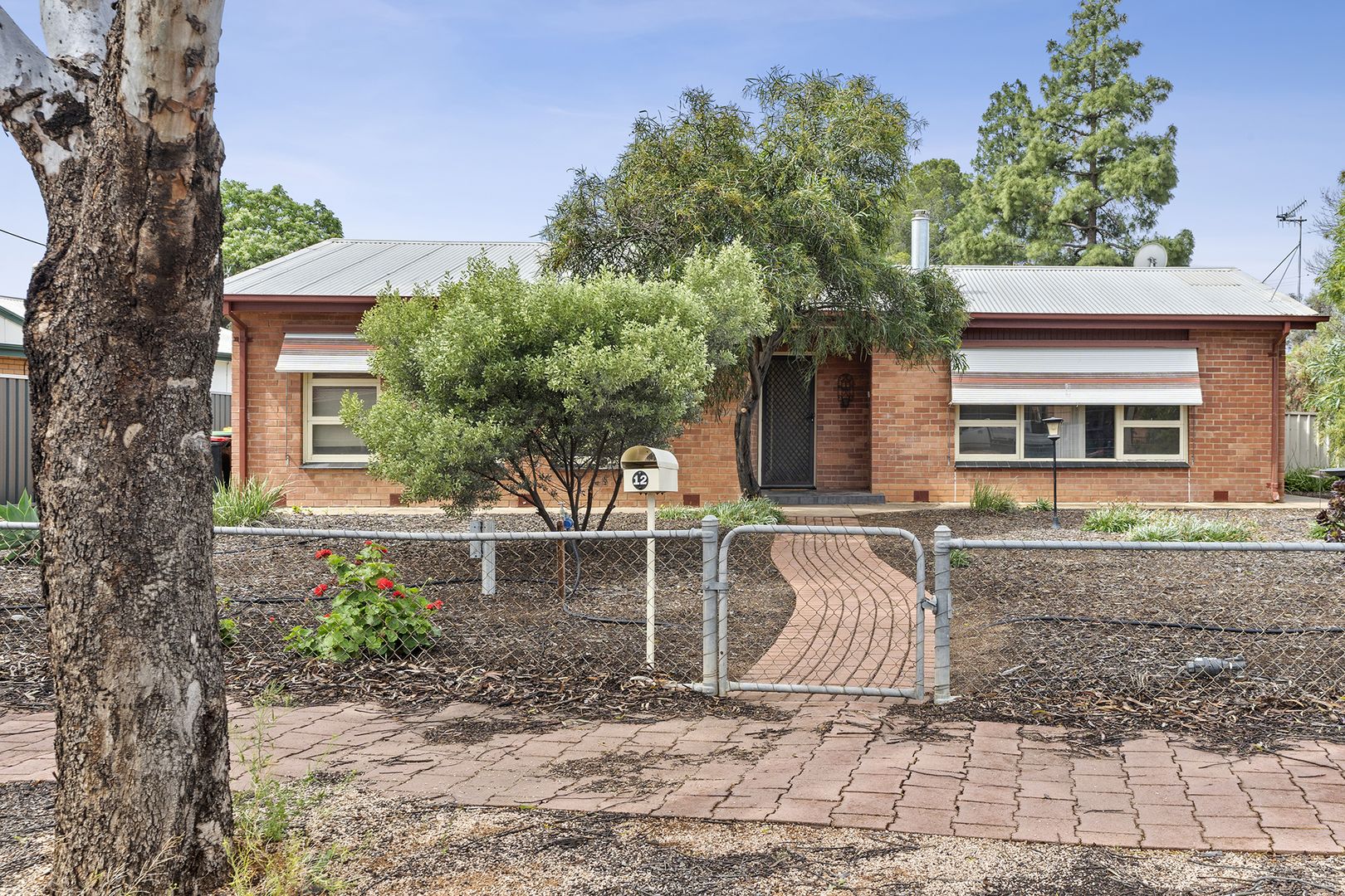 12 Kurrajong Avenue, Renmark SA 5341, Image 1