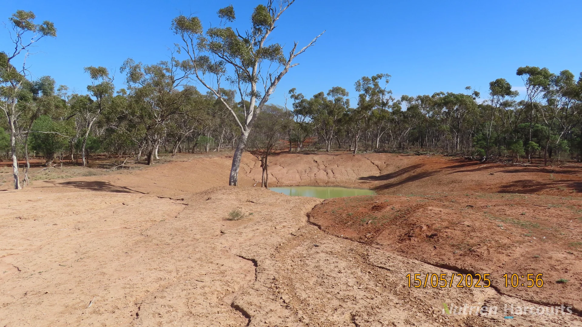 Additional image 19 of * CABLE DOWNS, Cobar NSW 2835