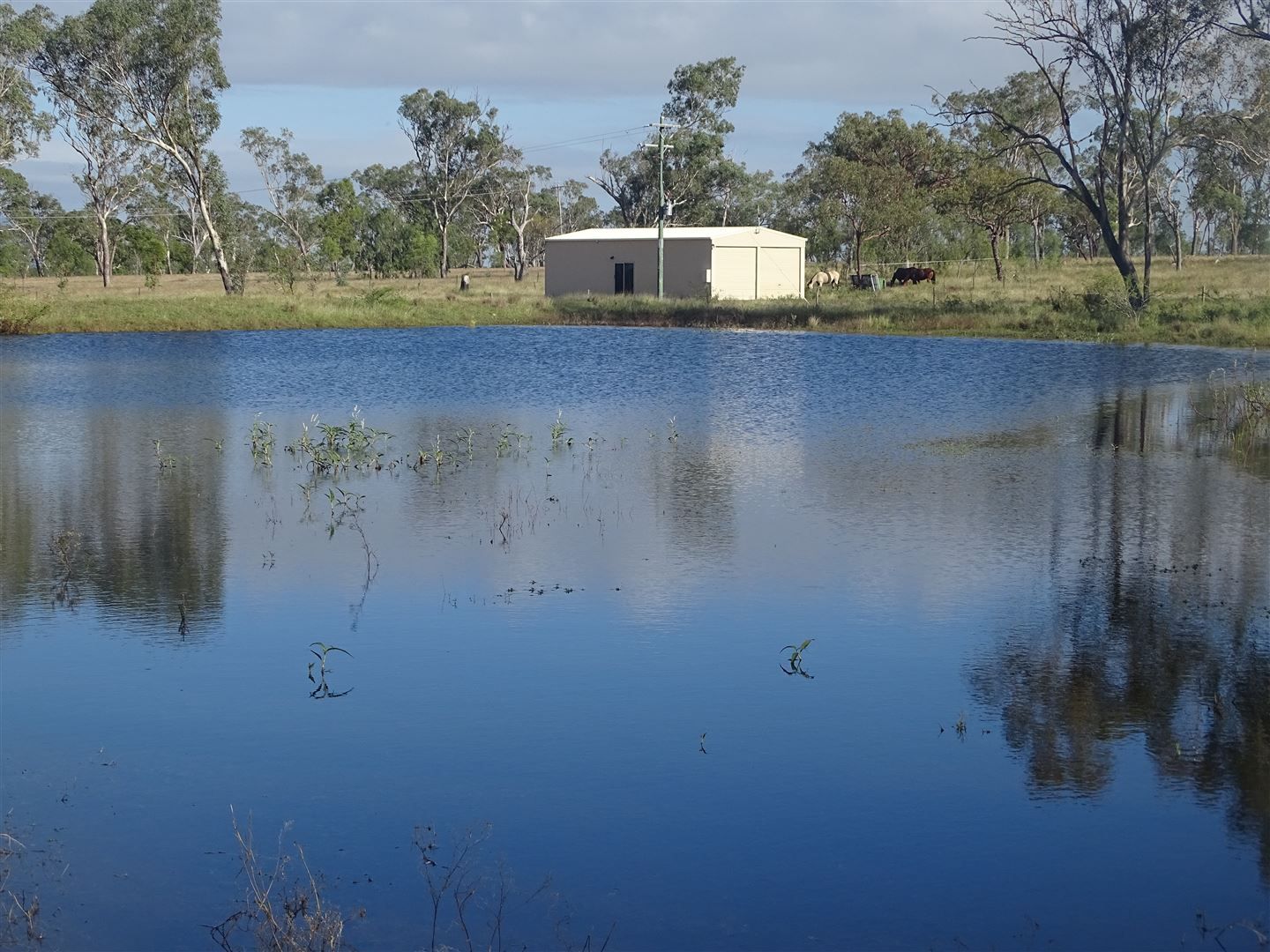 Nebo QLD 4742 House for Sale 120,000240,000 Domain