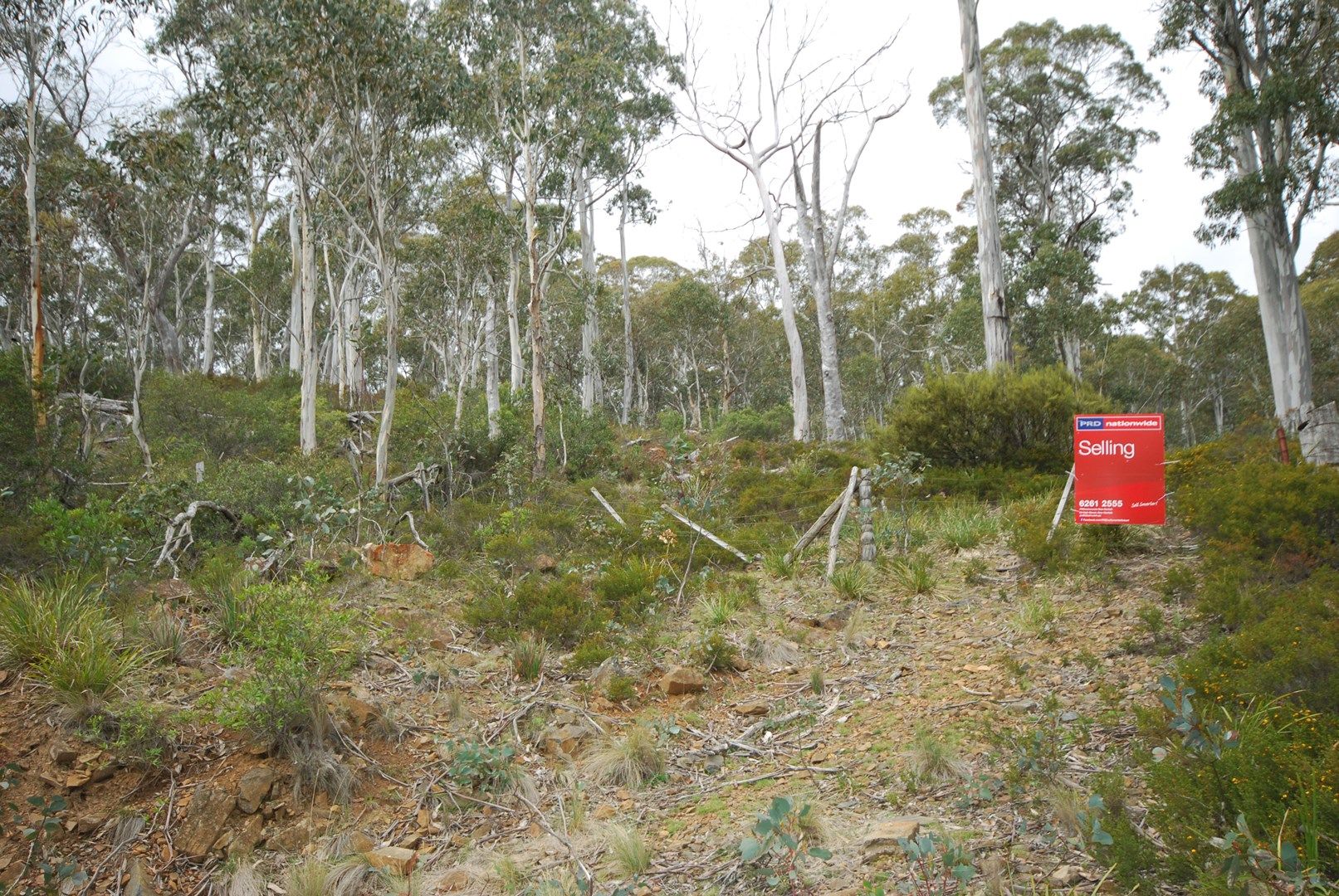 Lot 1 Victoria Valley Road, Victoria Valley TAS 7140, Image 1