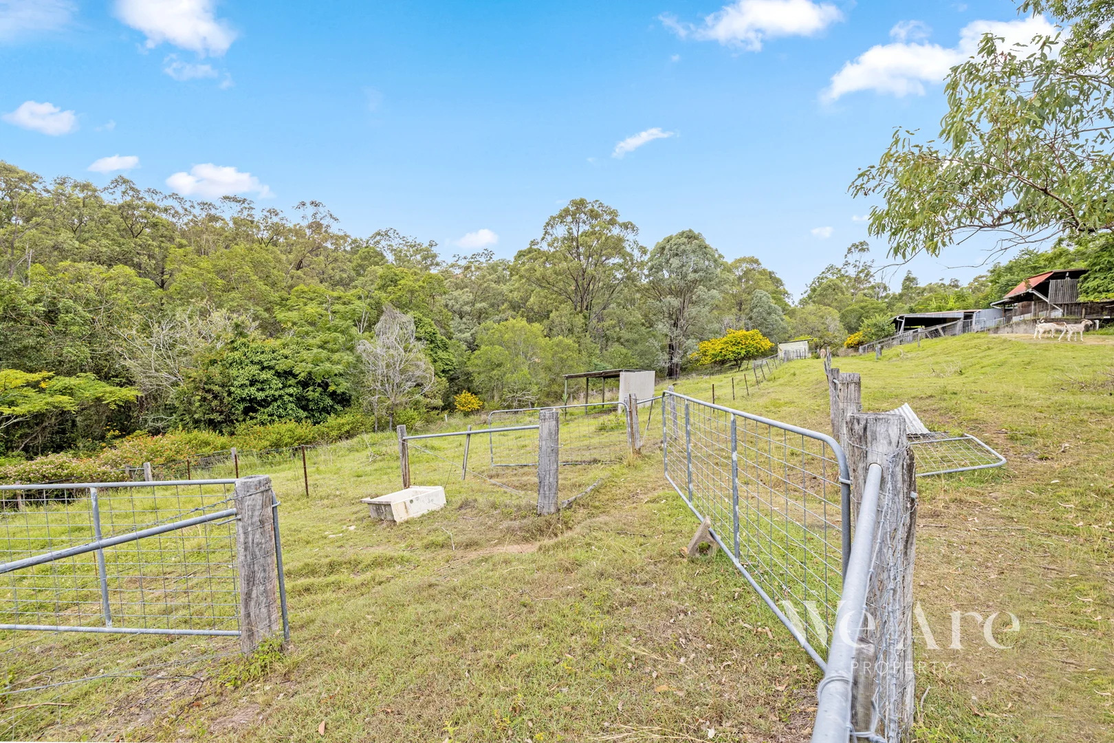 Additional image 31 of 330 Dennis rd, Cedar Vale QLD 4285