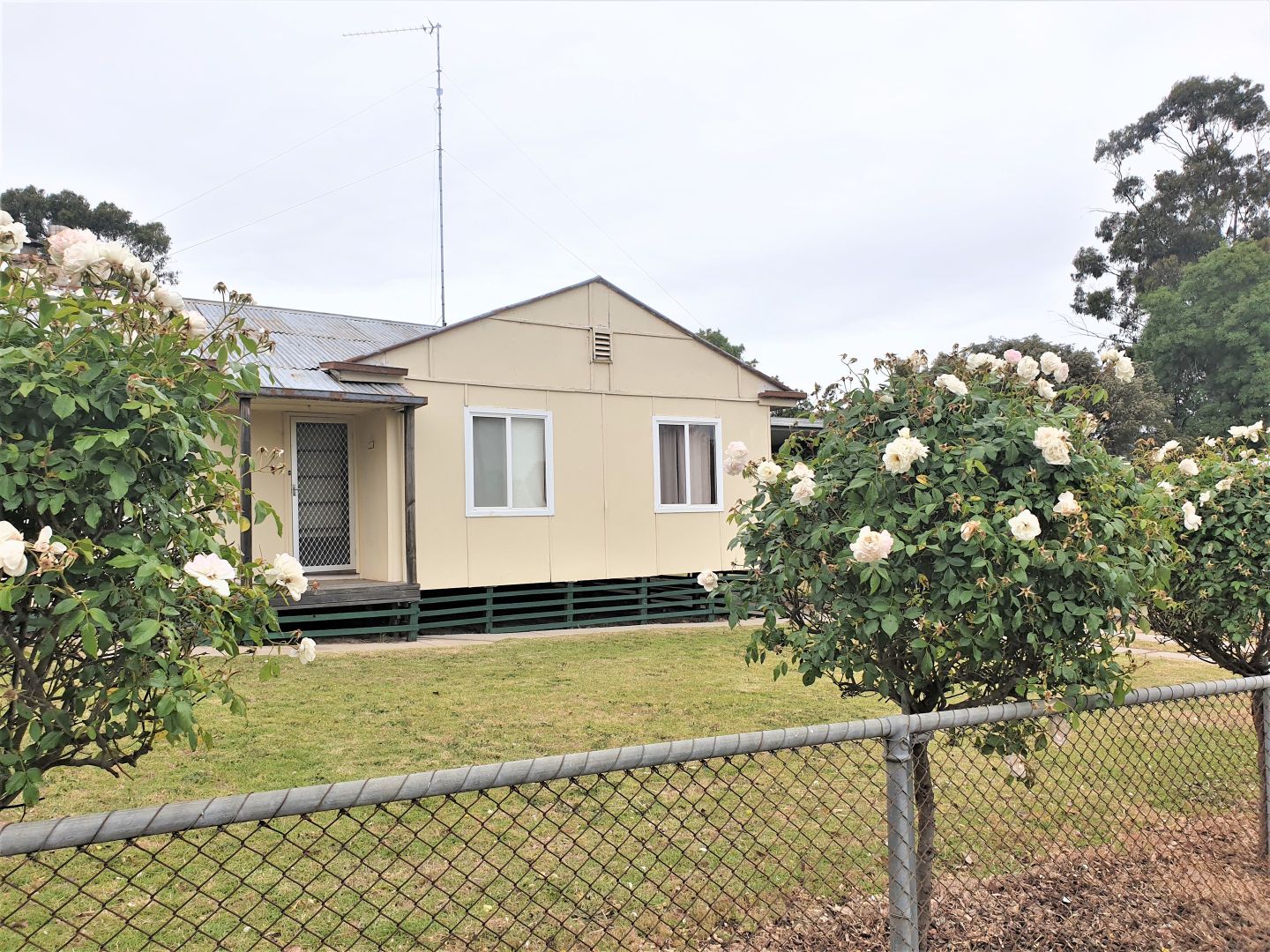 10 LOCHIEL AVENUE, Naracoorte SA 5271, Image 1