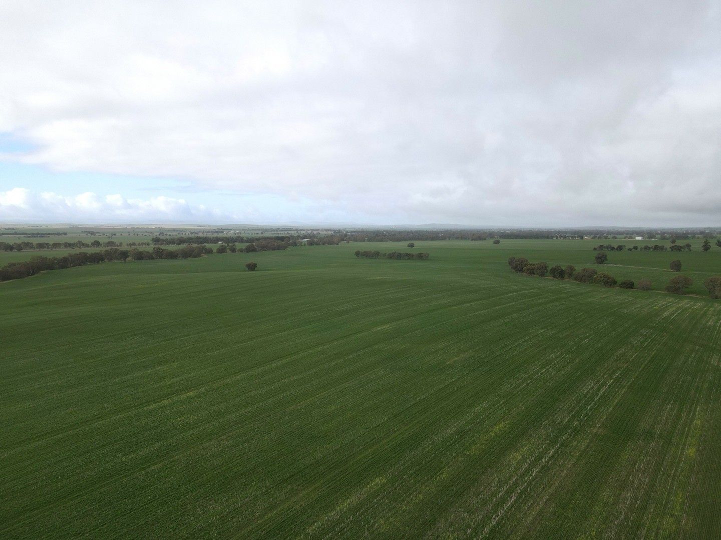 Rural in 17565 Horrocks Hwy, LAURA SA, 5480