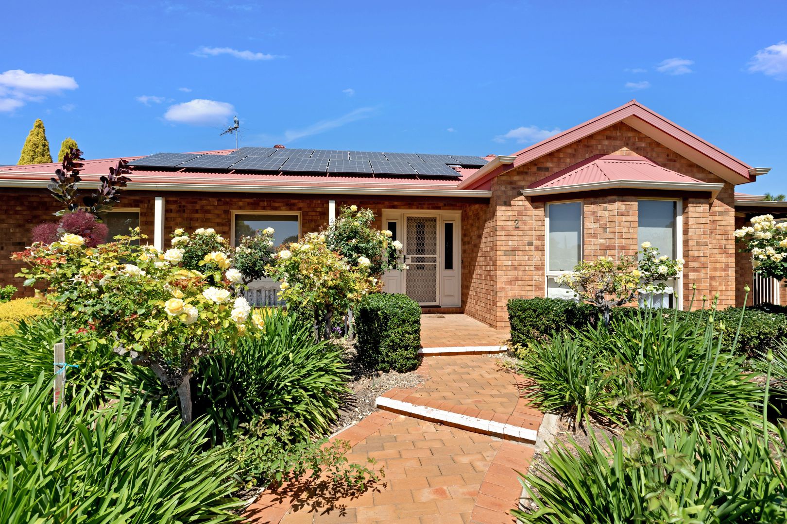 2 Olivewood Drive, Mildura VIC 3500 House For Rent 590 Domain