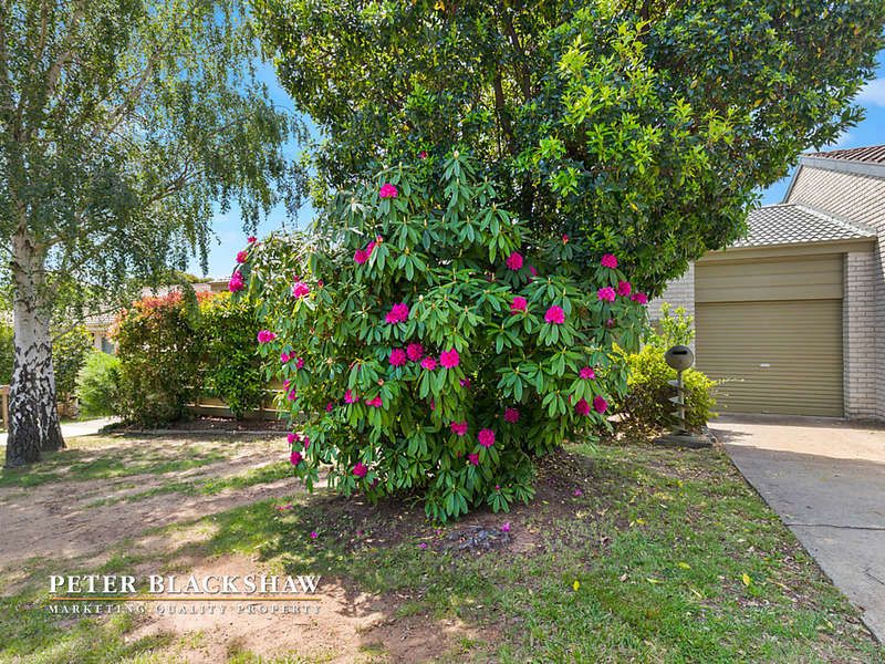 7a Woolner Circuit, Hawker ACT 2614, Image 0