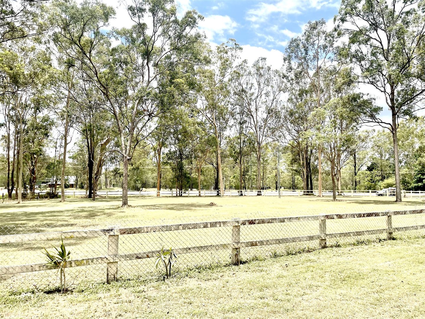 10811091 Teviot Road, South Maclean QLD 4280 House for Sale