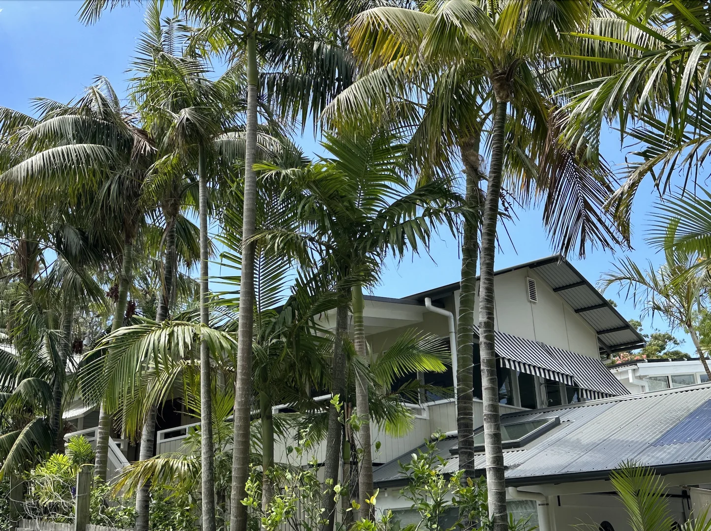 Additional image 3 of 21 Albert Road, Avalon Beach NSW 2107