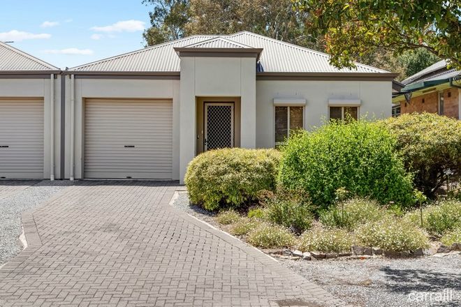 Picture of 16 Church Street, TEA TREE GULLY SA 5091