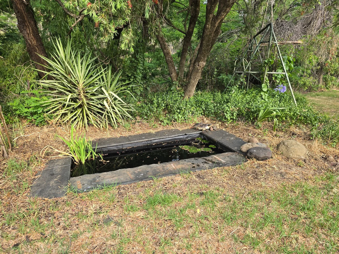 Additional image 23 of 6918 Warrumbungles Way, Coonabarabran NSW 2357