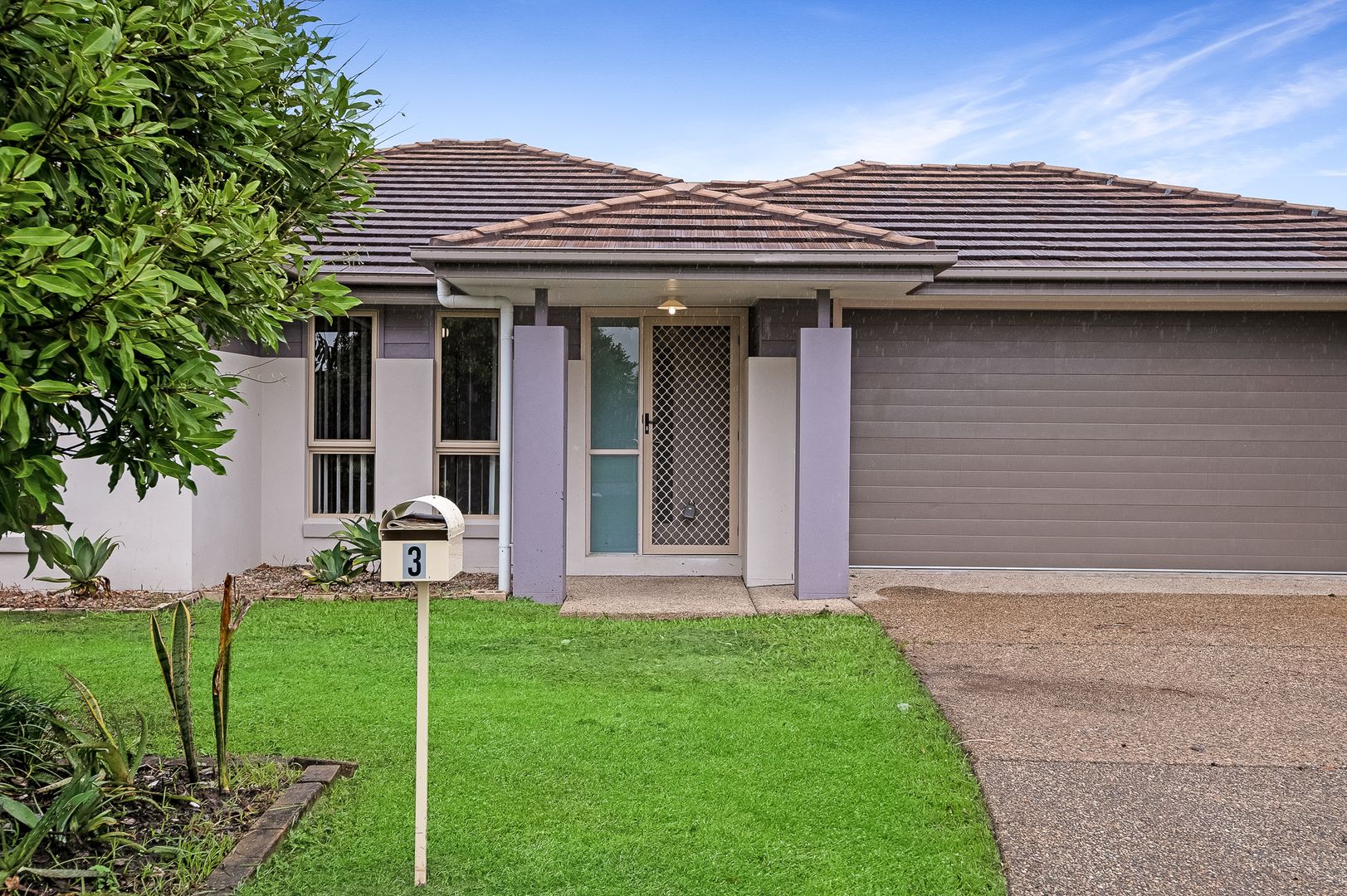 3 Riceflower Court, Ningi QLD 4511 House For Rent 620 Domain