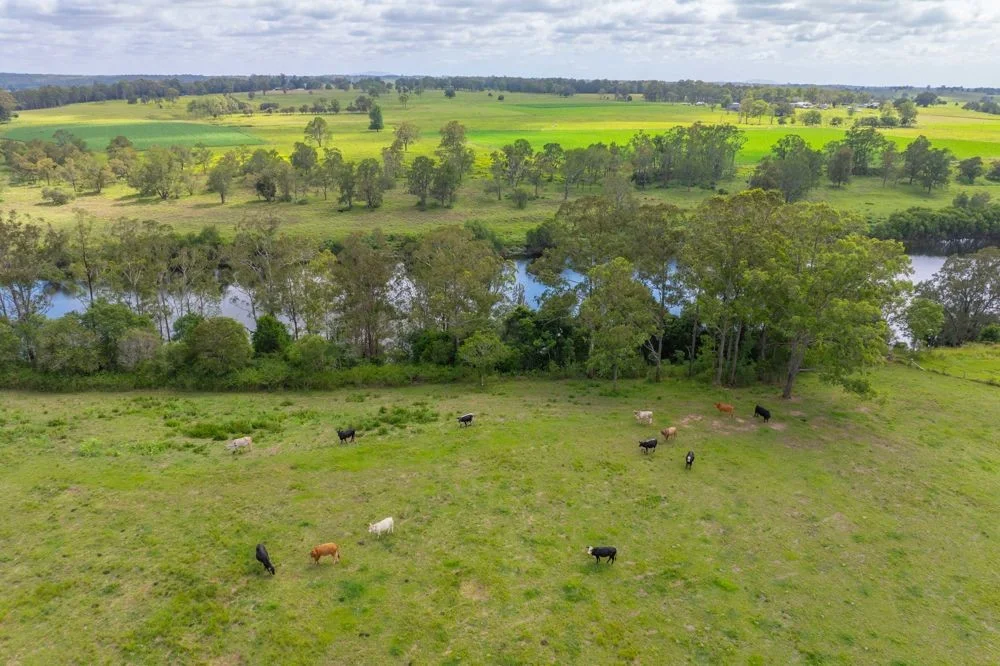 Dondingalong NSW 2440 photo 5