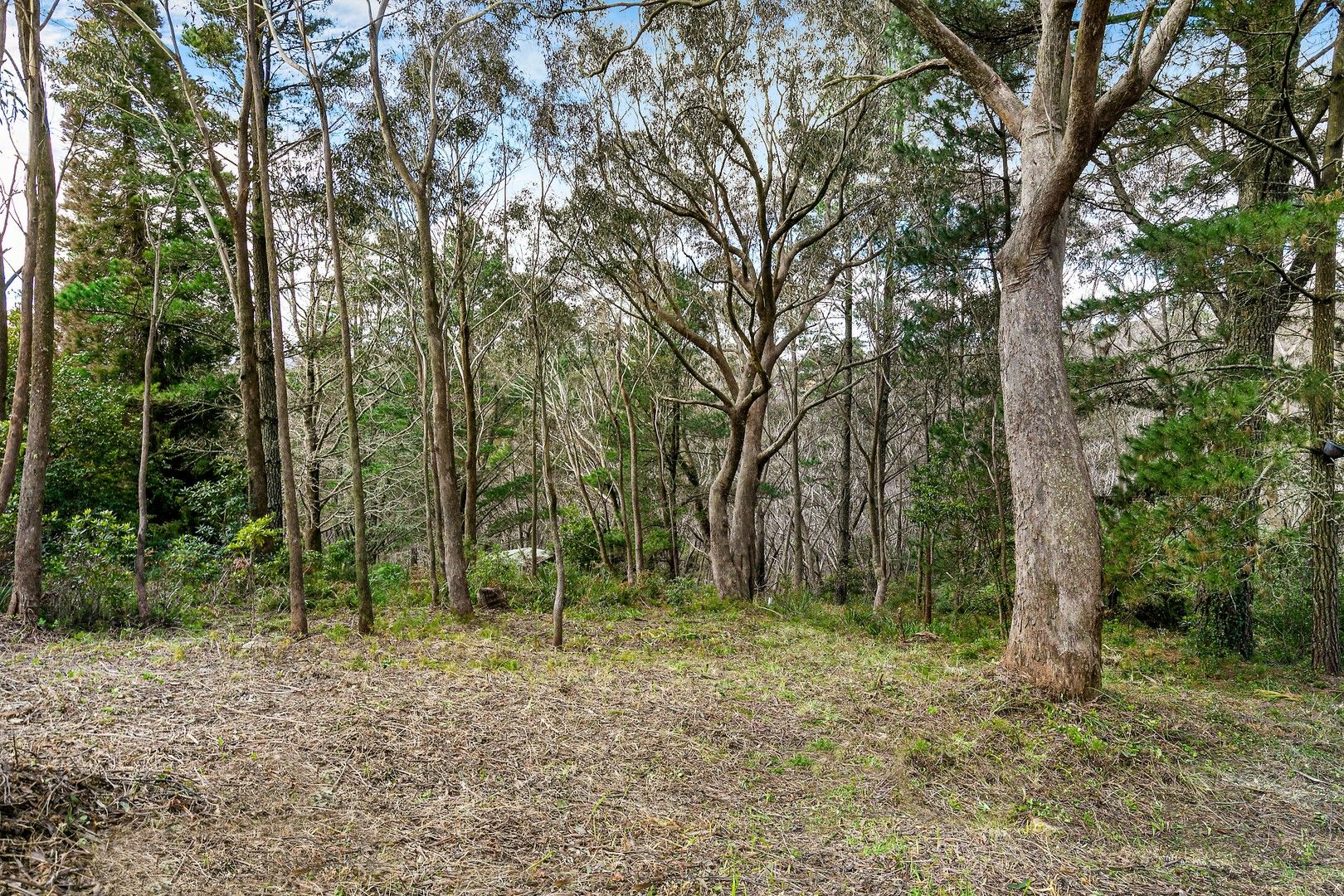 31 Winston Street, Leura NSW 2780, Image 1