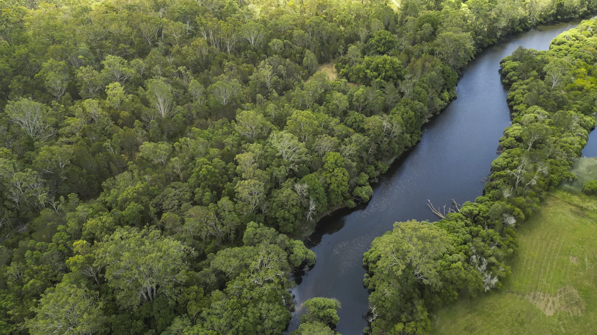 Additional image 6 of 95 Sunnyside Road, Pillar Valley NSW 2462