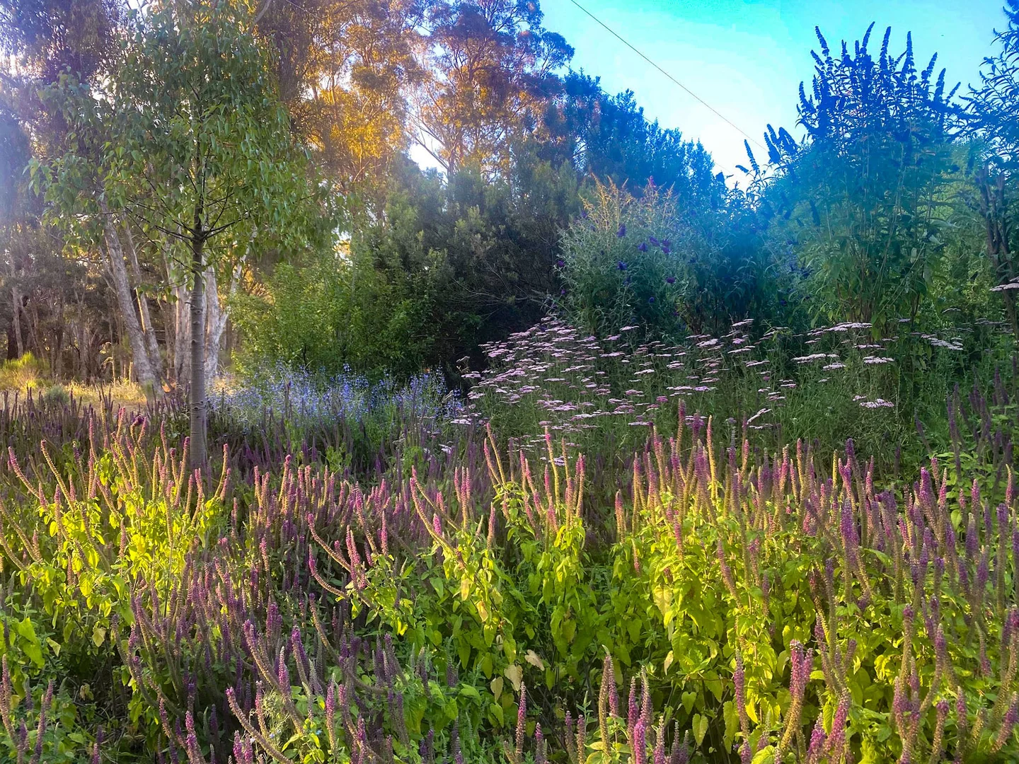 Additional image 22 of 180 Golden Point Road, Golden Point VIC 3451