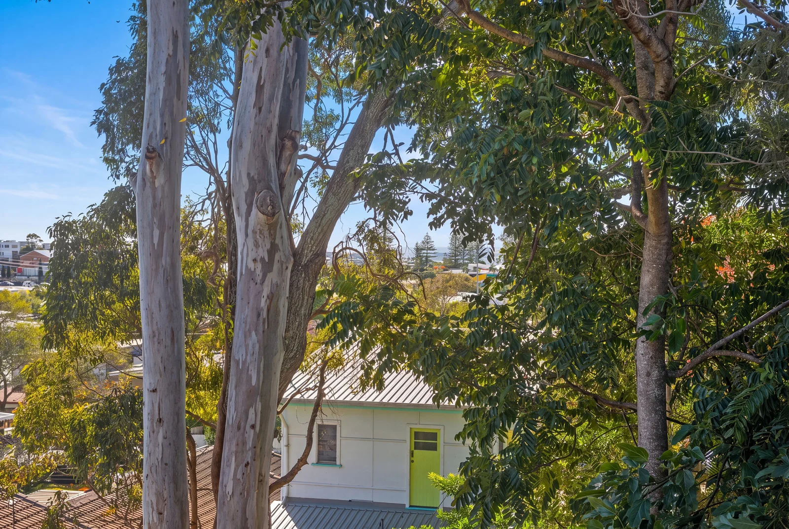 Image 11