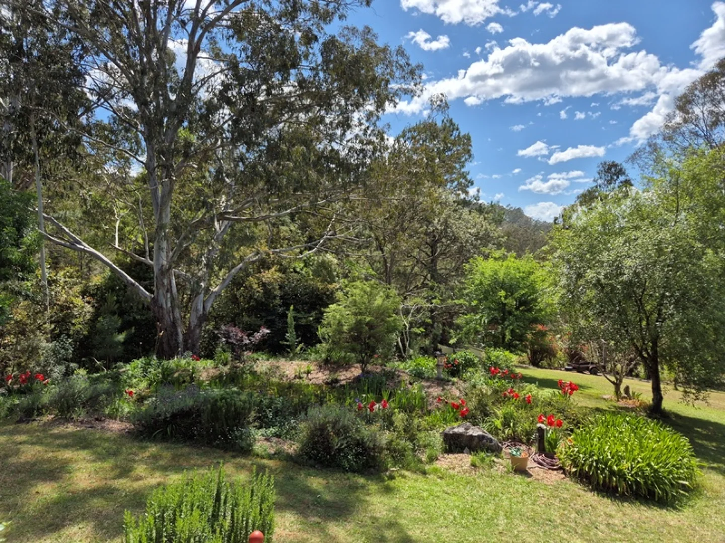 Image 23
