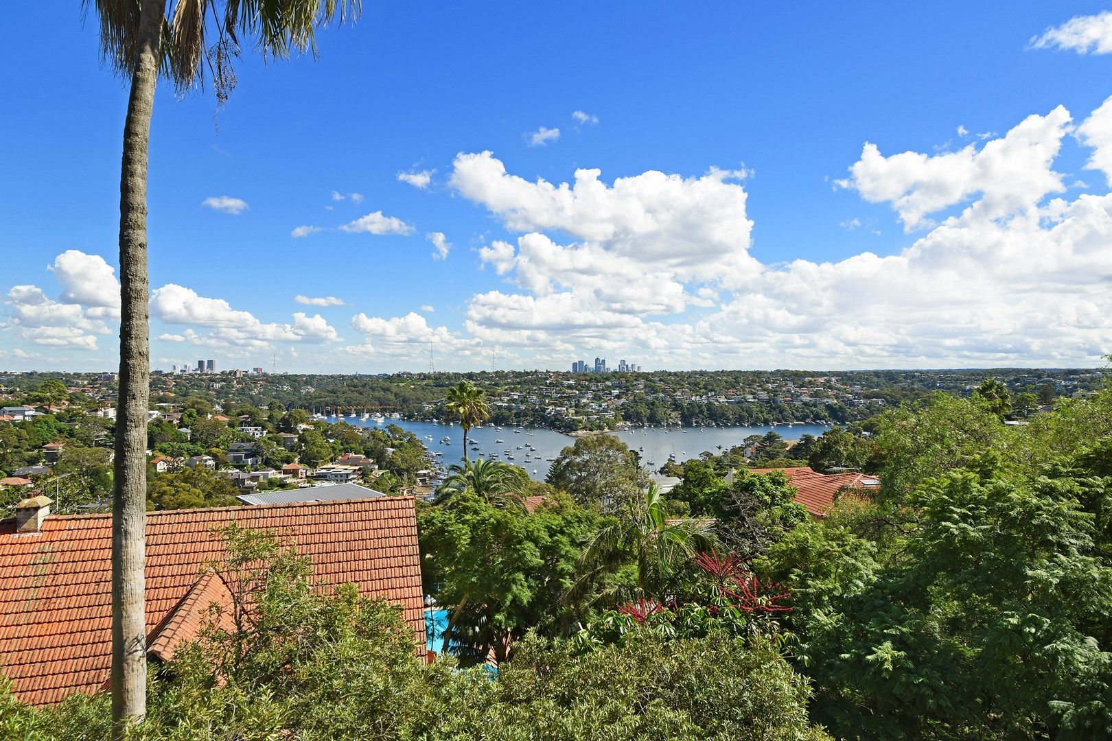 11/164 Spit Road, Mosman NSW 2088 Apartment For Rent Domain