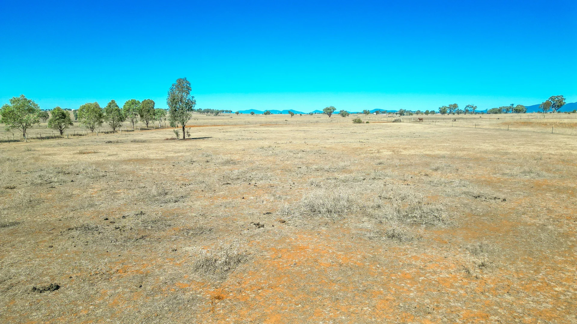 Additional image 6 of 161 New Winton Road, Tamworth NSW 2340