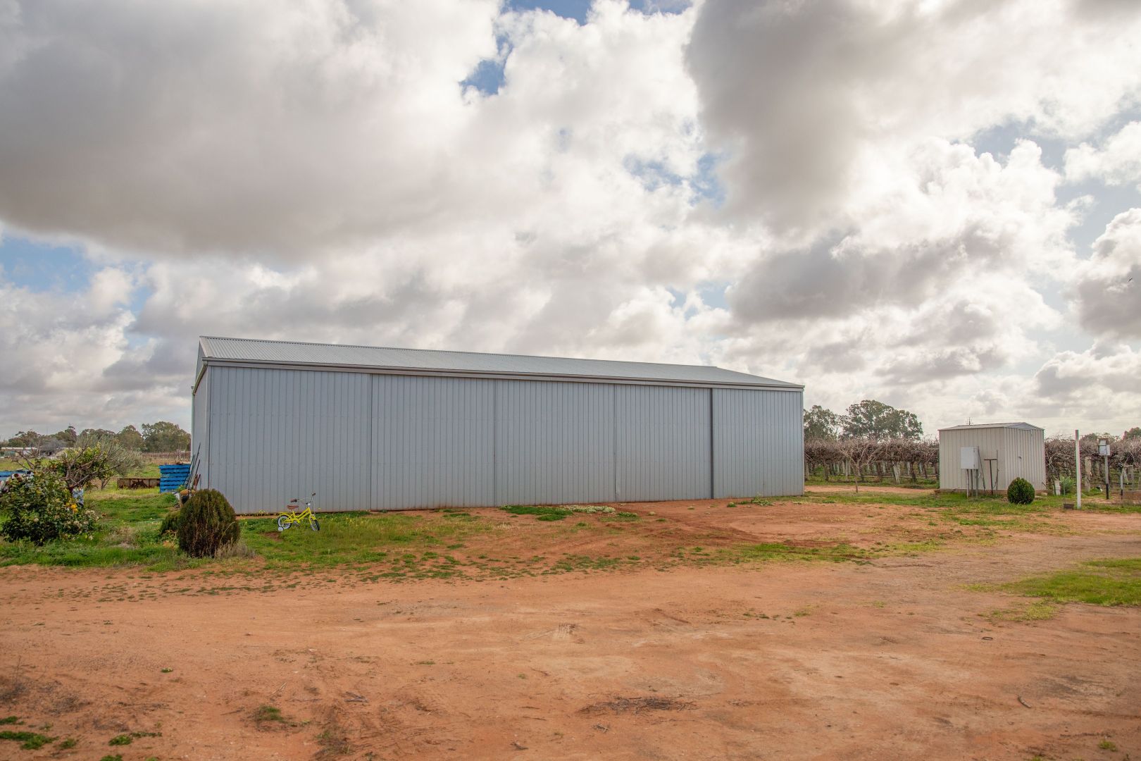 Lot 2 Hombsch Road, Cobdogla SA 5346, Image 2