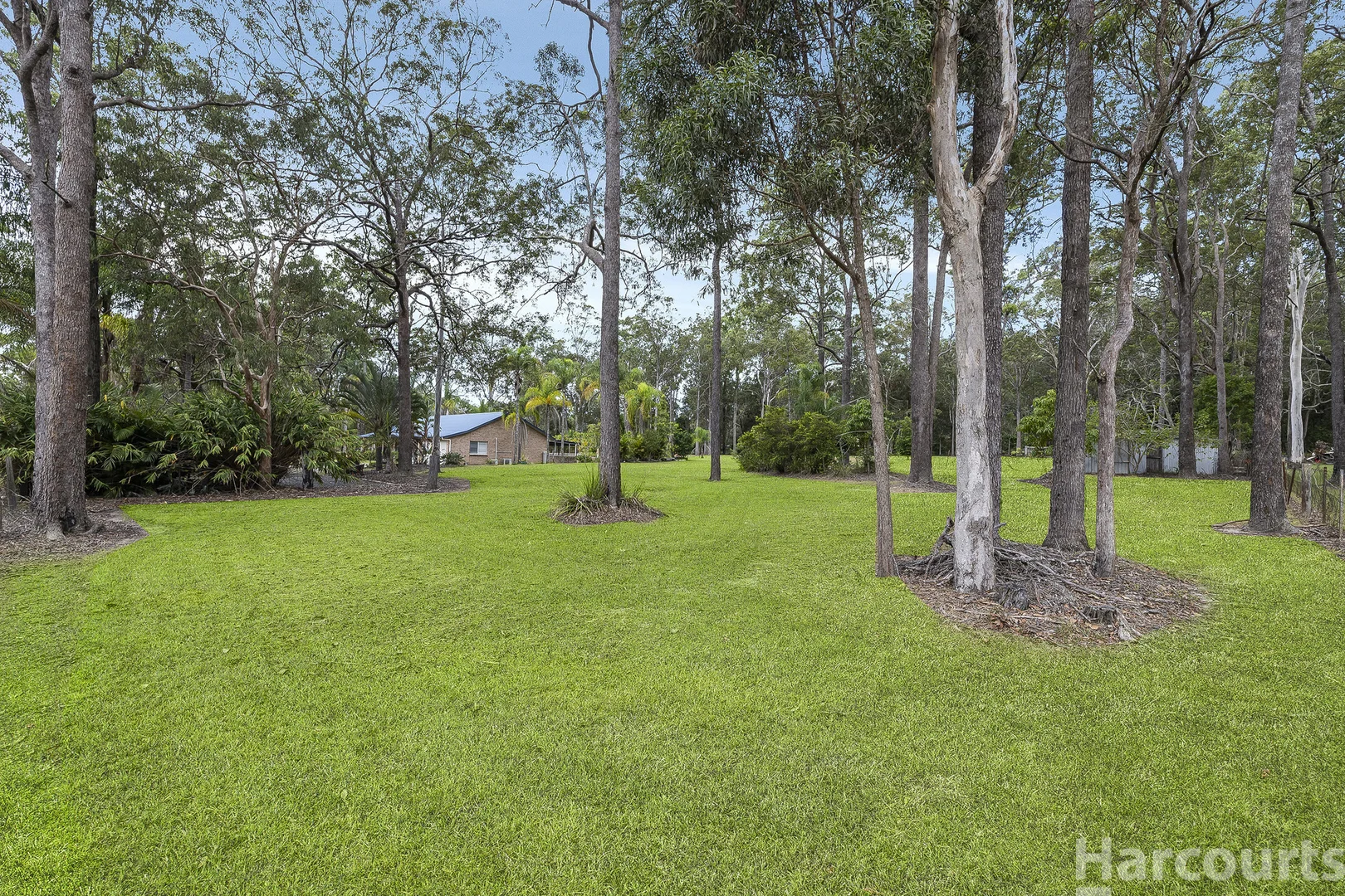 Additional image 23 of 6 The Ponds Way, Aldavilla NSW 2440