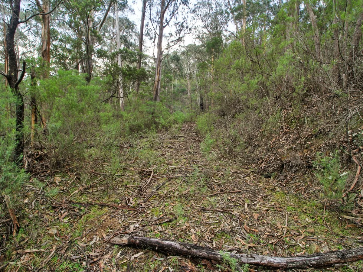 Image 6
