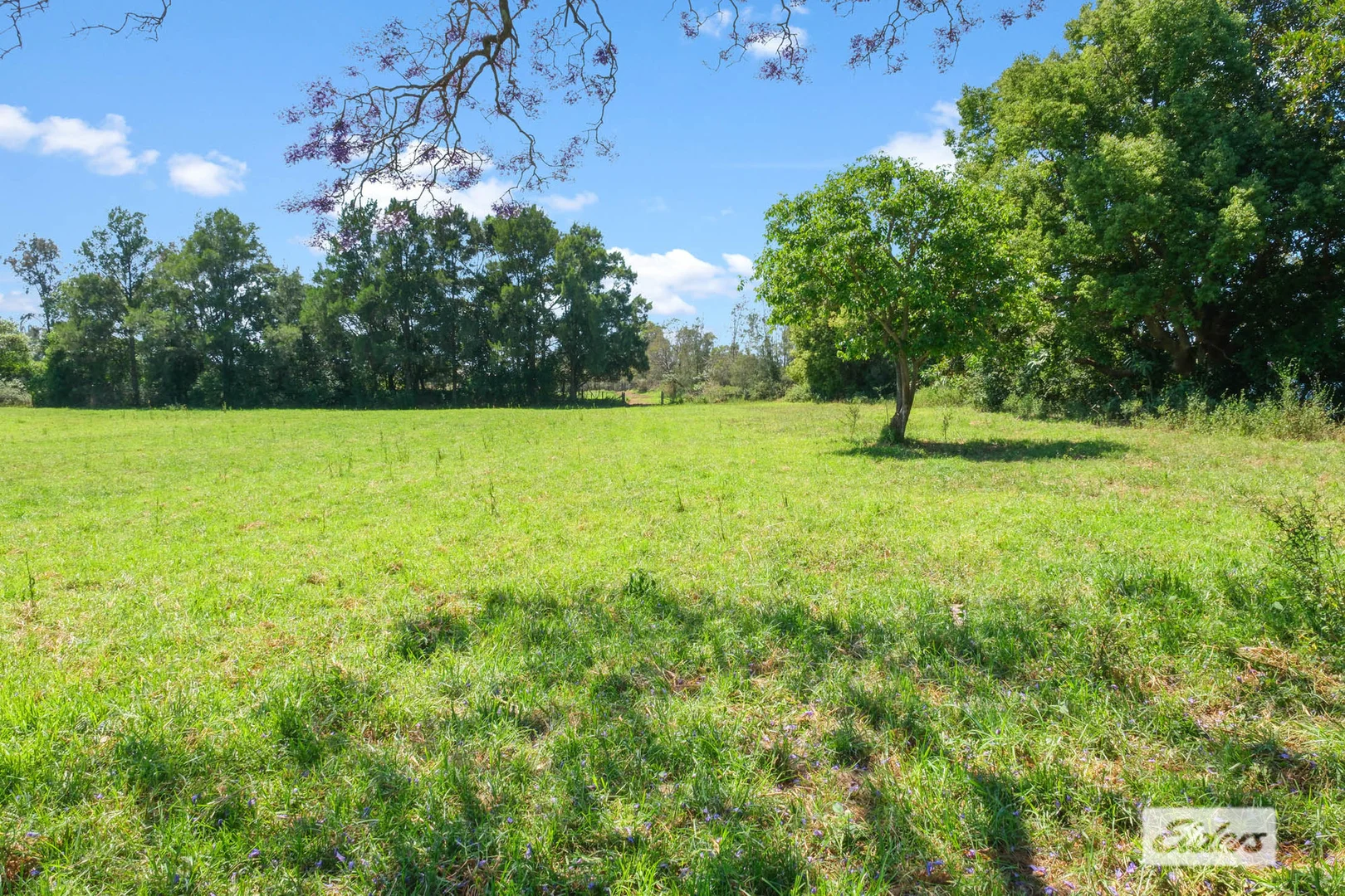 Additional image 19 of 282 Newtons Road, Dumaresq Island NSW 2430