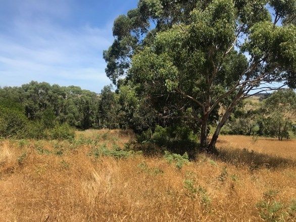 Lot 7 Timboon Curdievale Road, Timboon West VIC 3268, Image 1