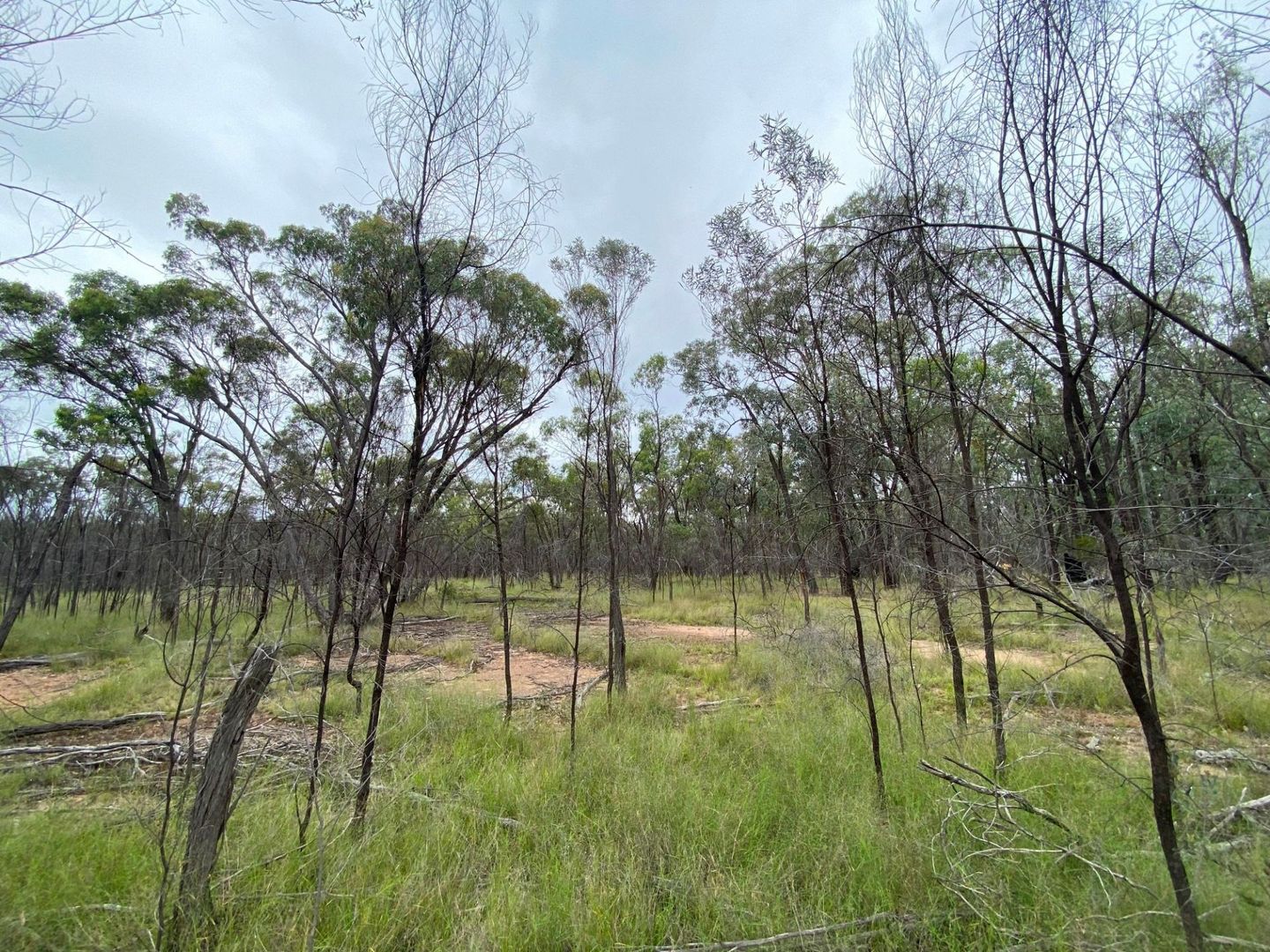 Lot 25 Vickery Road, Goranba QLD 4421, Image 1