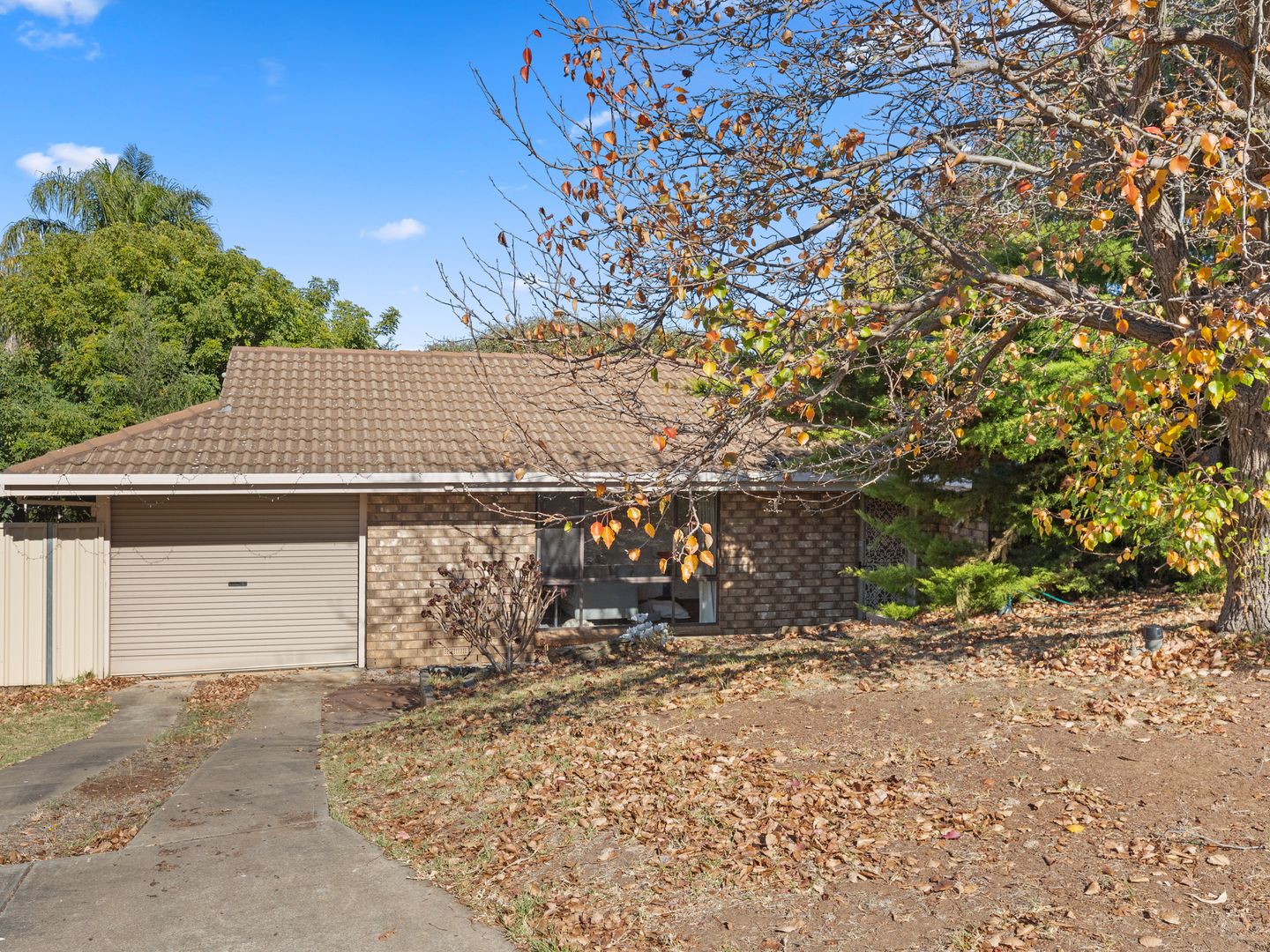 11 Mellors Avenue, O'Halloran Hill SA 5158, Image 1