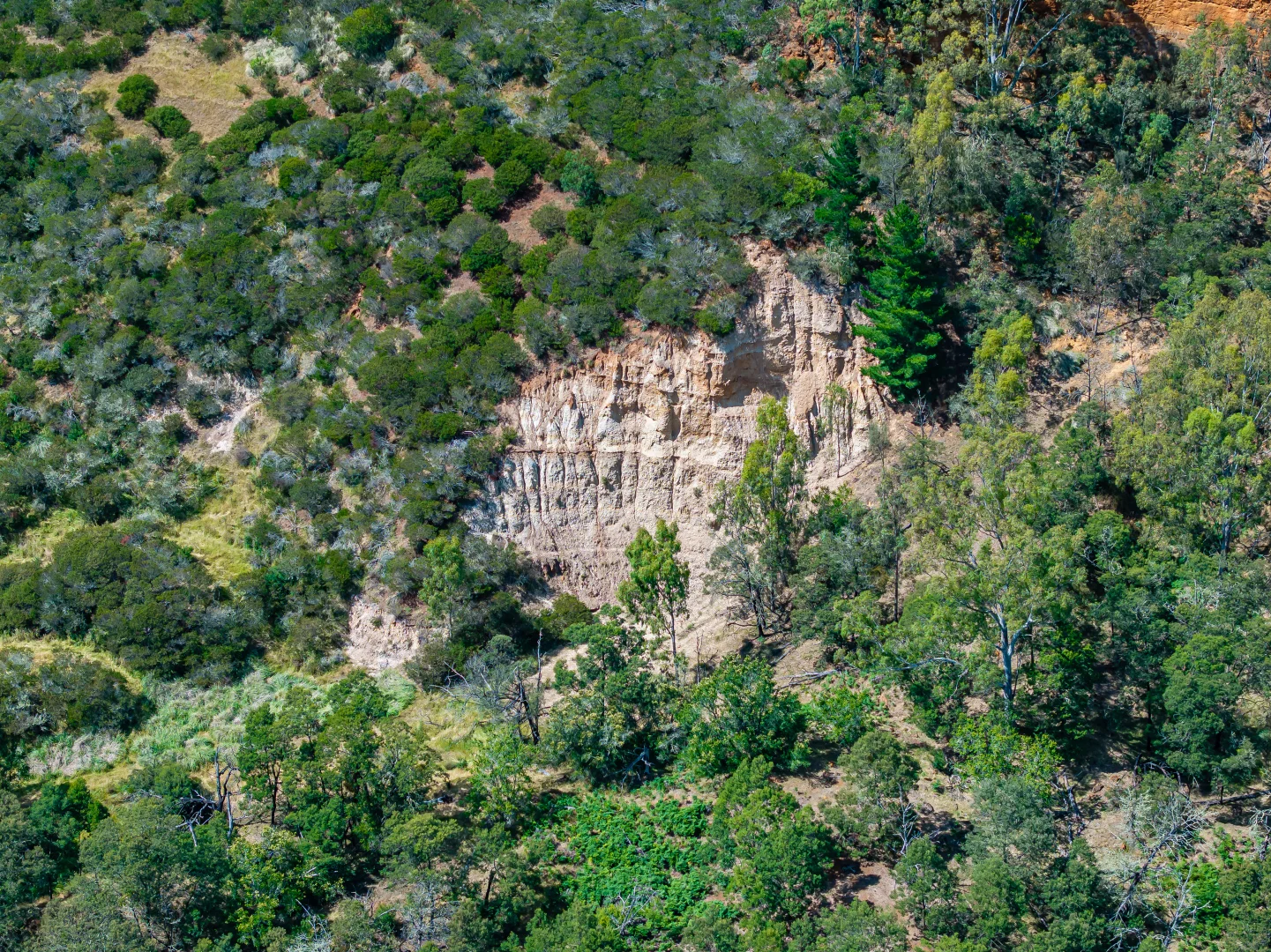 Image 25