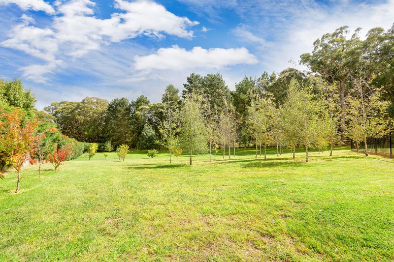 17 Wilson Drive, Colo Vale NSW 2575, Image 2