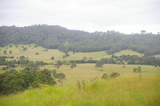 GUM SCRUB NSW 2441, Image 2