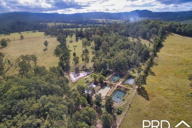 Picture of 1415 Iron Pot Creek Road, GHINNI GHI NSW 2474