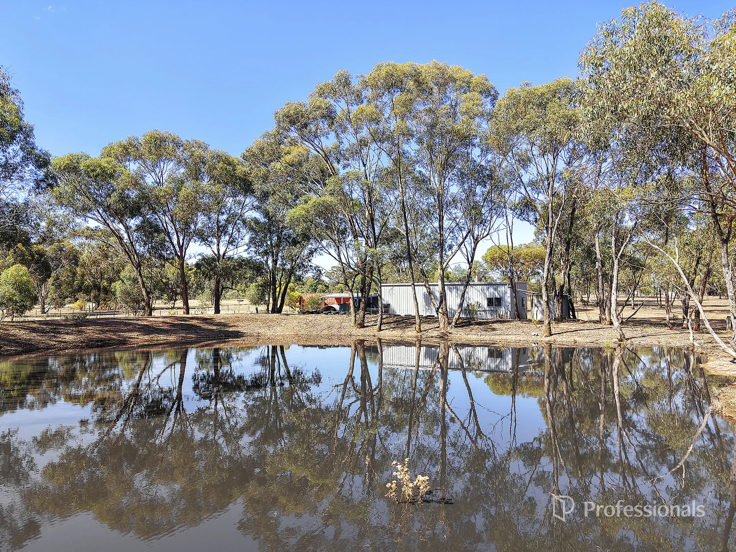 Additional image 5 of 767 Maryborough Dunolly Road, Havelock VIC 3465