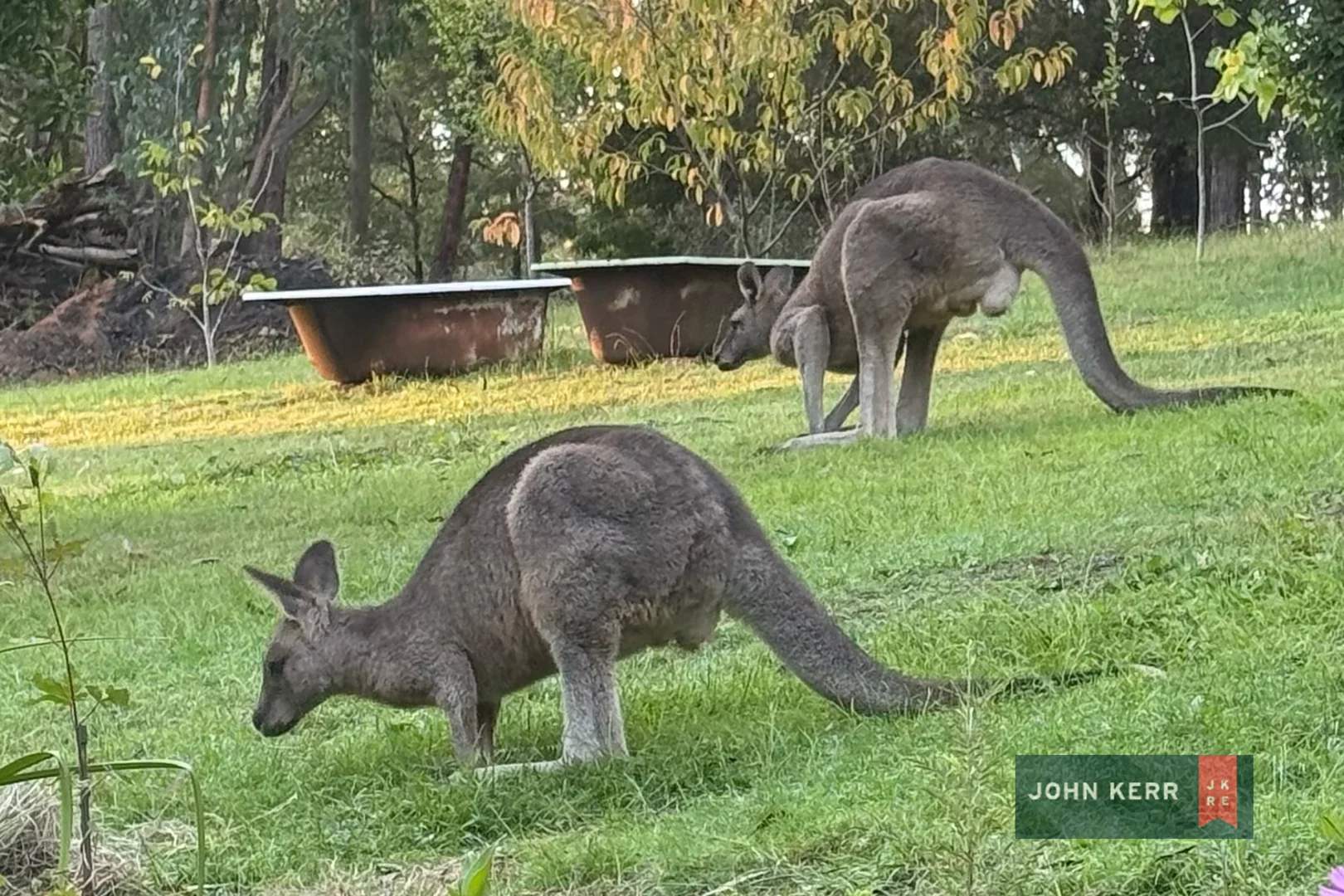 Additional image 15 of 55 Blackwood Rise, Moe South VIC 3825