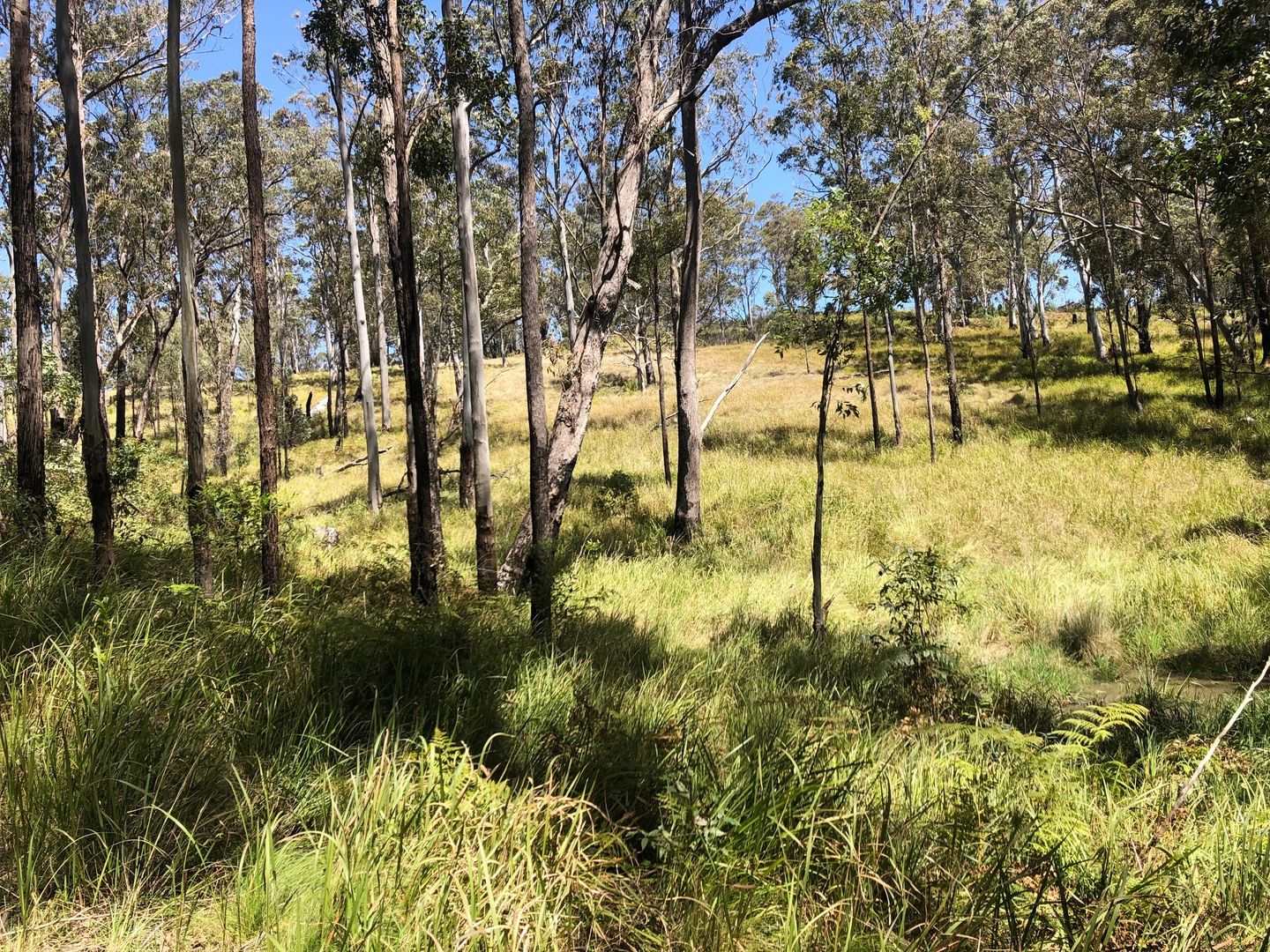 2455 Tyringham Road, Tyringham NSW 2453 House for Sale 700,000