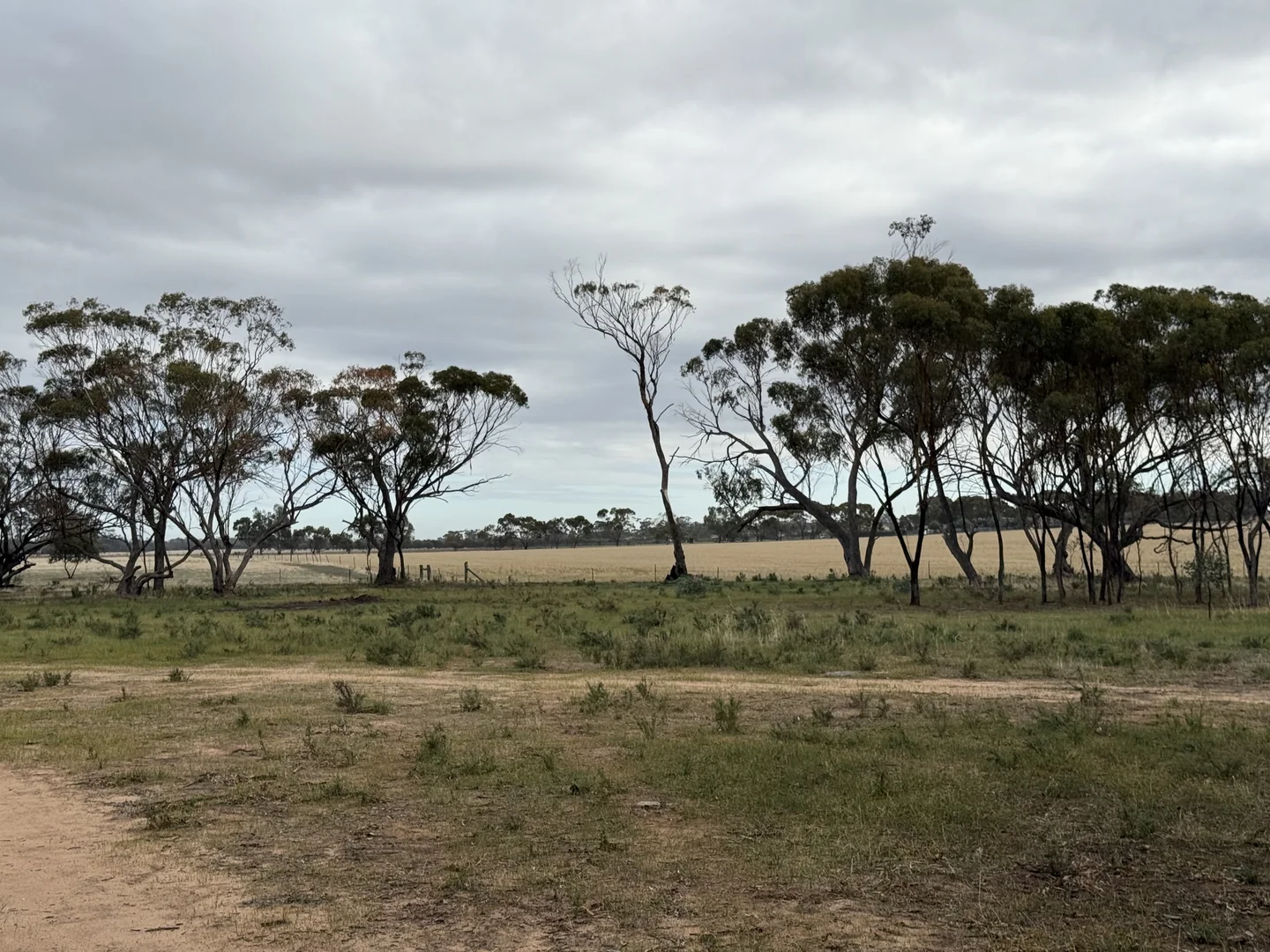 Image 15