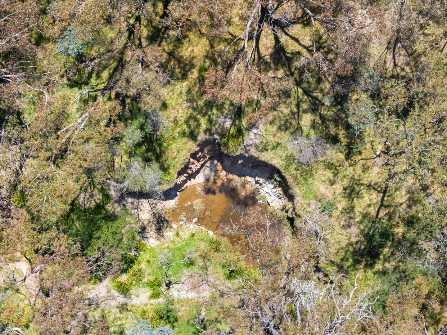 Image 9