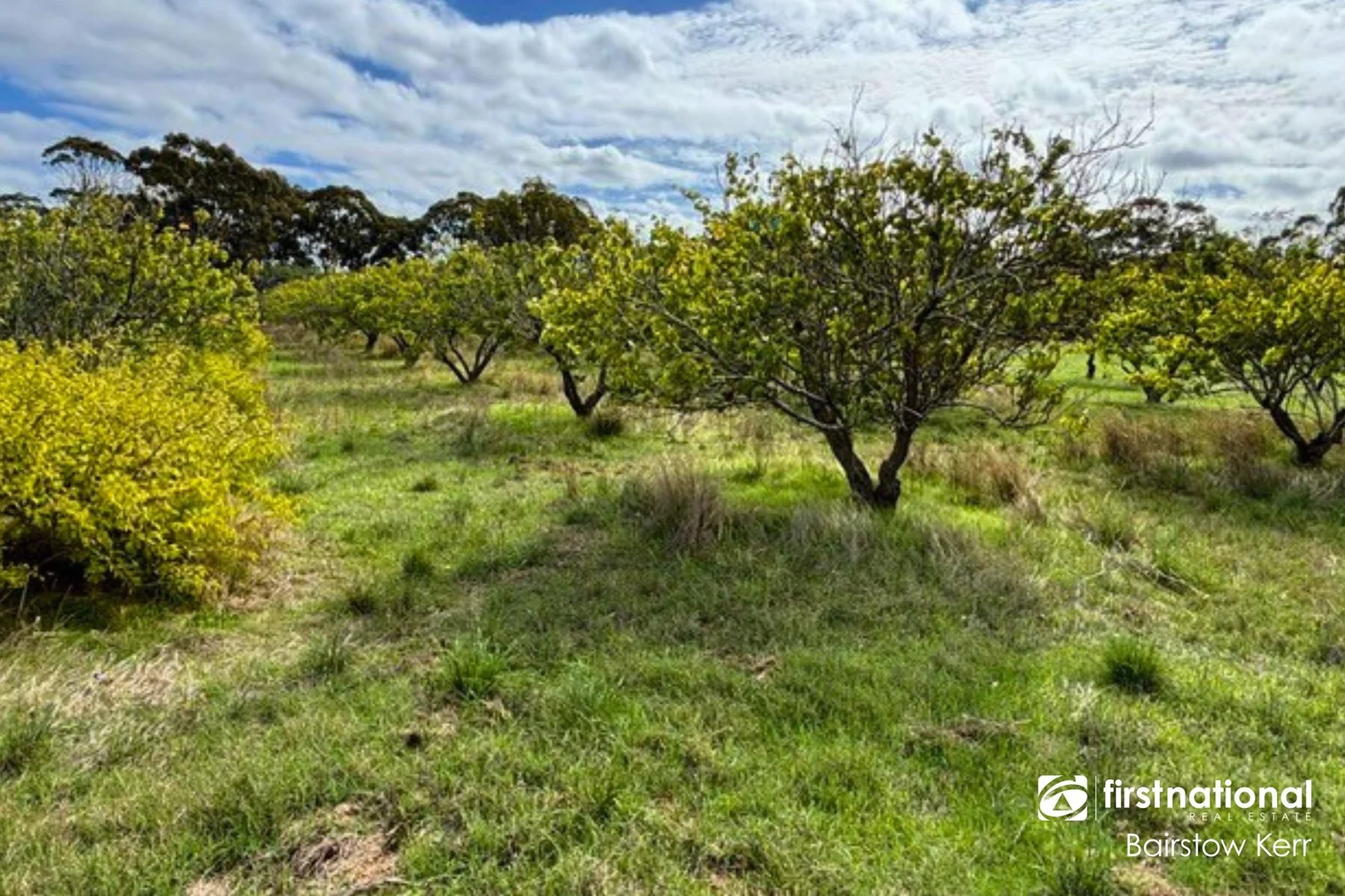 Additional image 3 of 1031 Jutland Road, Kendenup WA 6323
