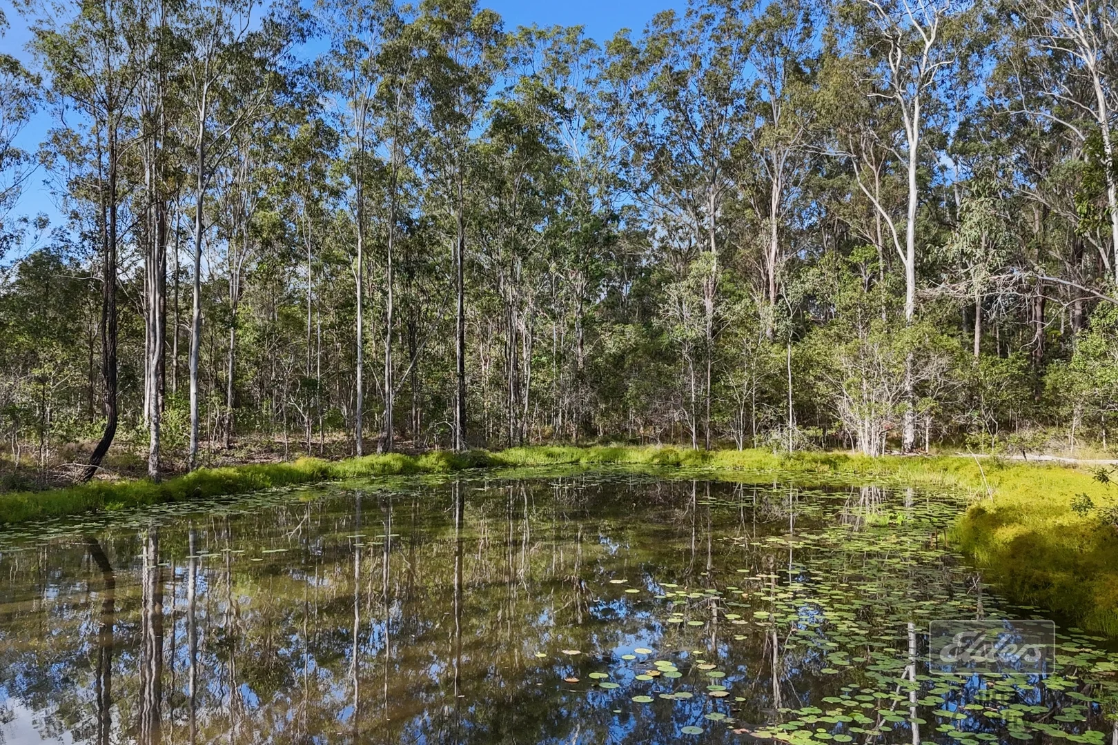 Additional image 20 of 49 Arborfourteen Road, Glenwood QLD 4570