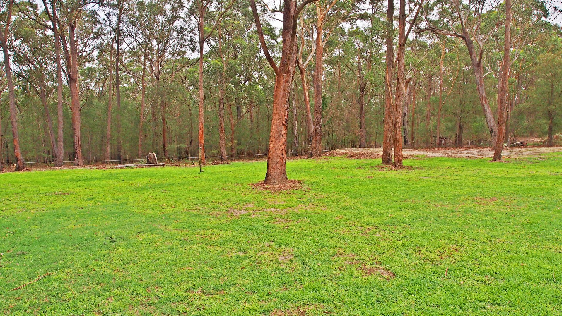 240 Percy Davis Drive, Moruya NSW 2537, Image 1