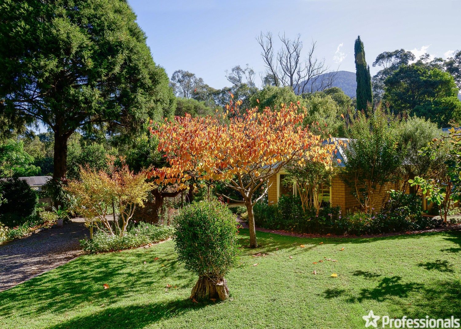 506 Woods Point Road, East Warburton VIC 3799, Image 1