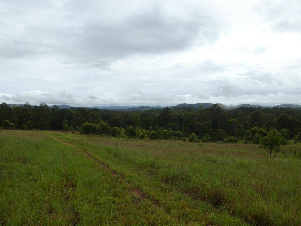 Burrell Creek NSW 2429, Image 1