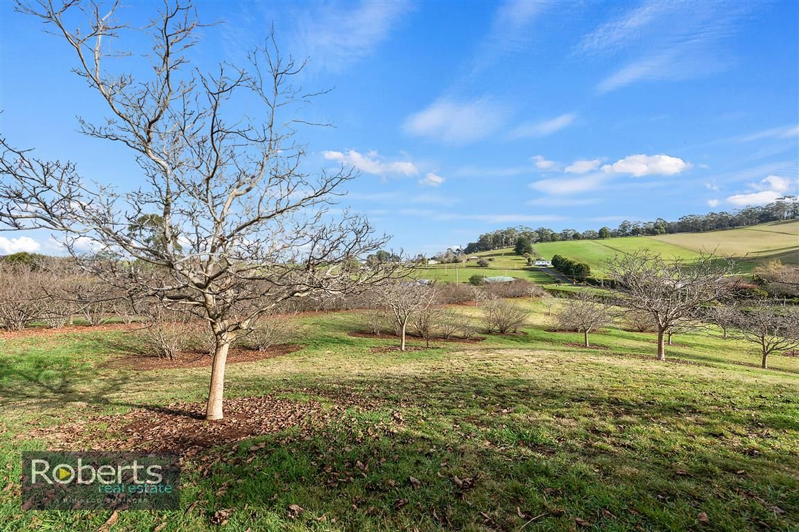 17 Lower Barrington Road, Paloona TAS 7310, Image 1