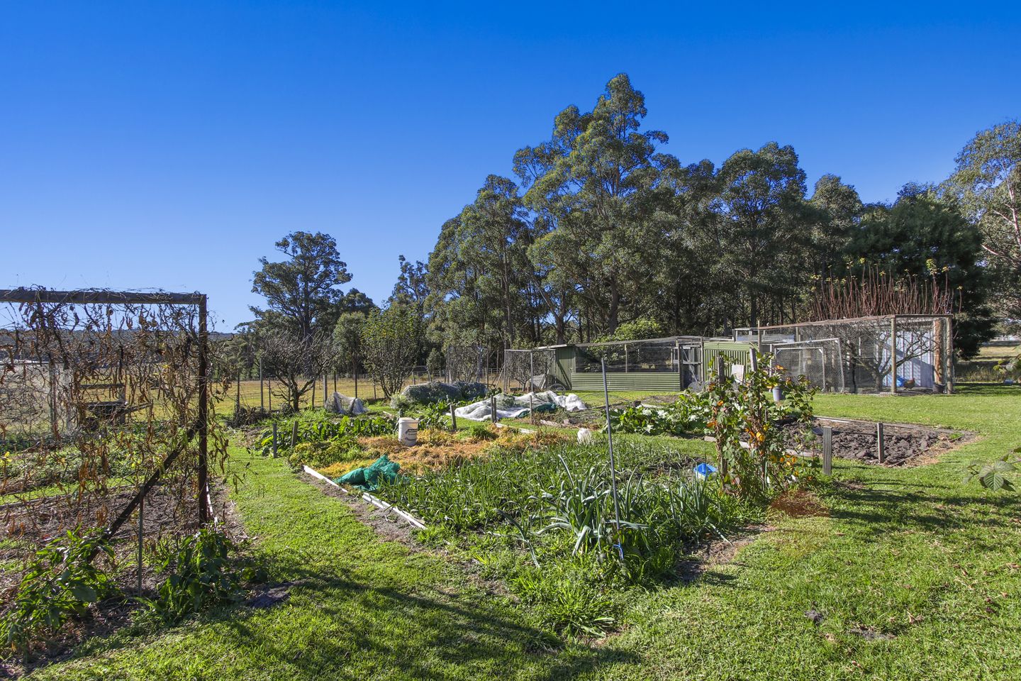 2279 Princess Highway, Swan Reach VIC 3903 Farm for Sale 1,350,000