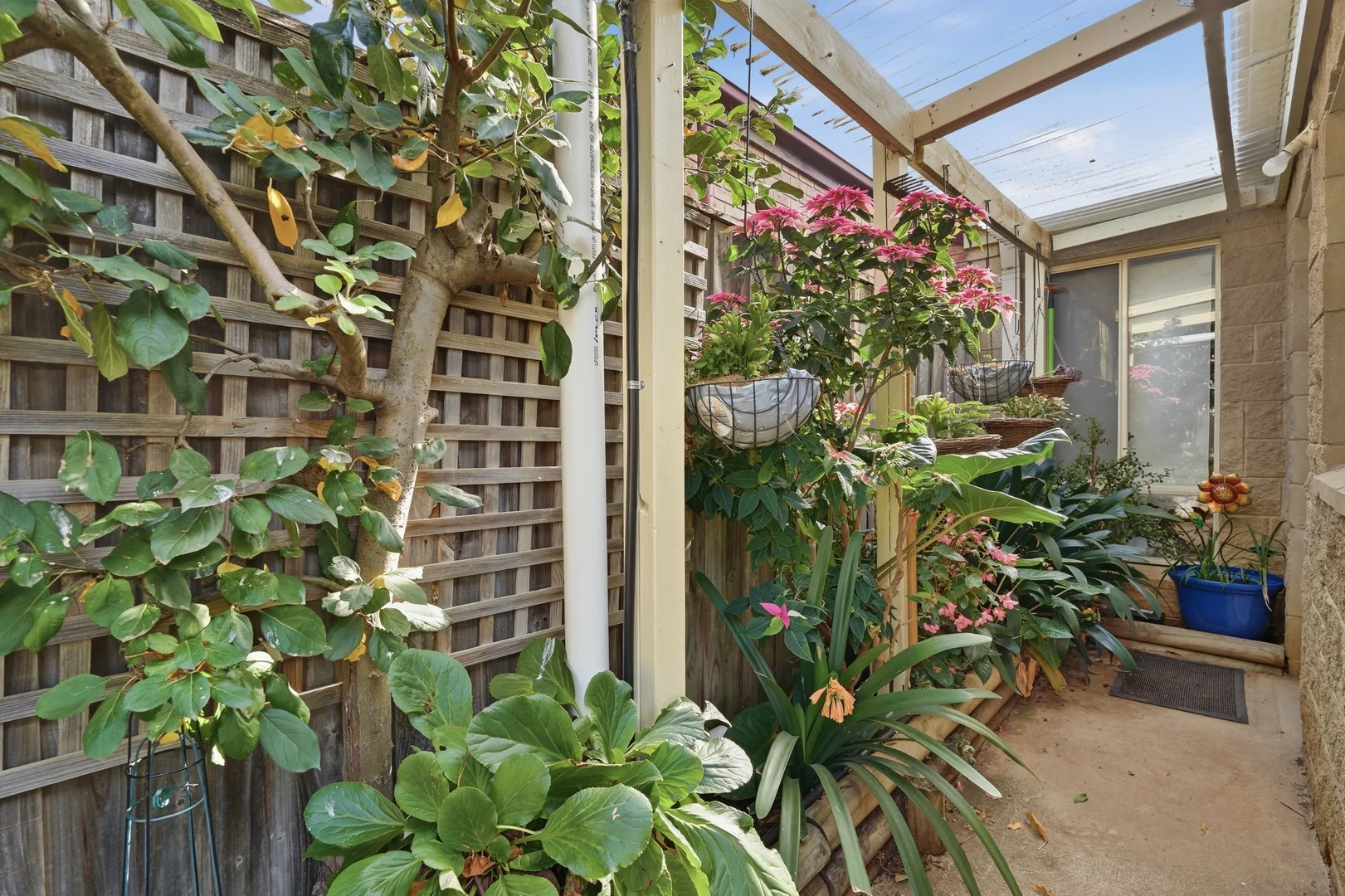 Image 15